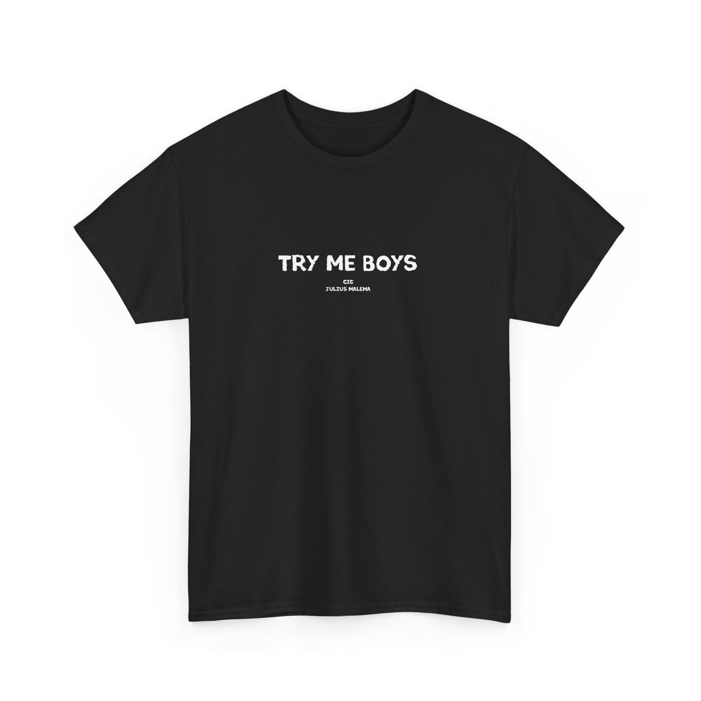 Try me boys! CIC Julius Malema Tshirt